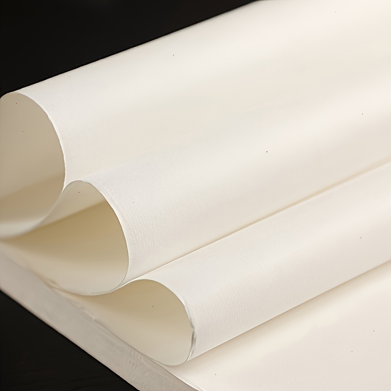 100/200 Pcs of Half-Cooked Chi - Ink Blotter Paper ulasan dan harga