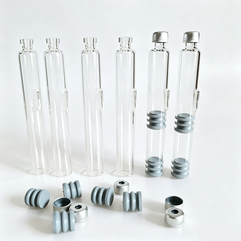 10/20 pcs Dual Chamber Ink Car - Fountain Pen Bottled Ink ulasan dan harga