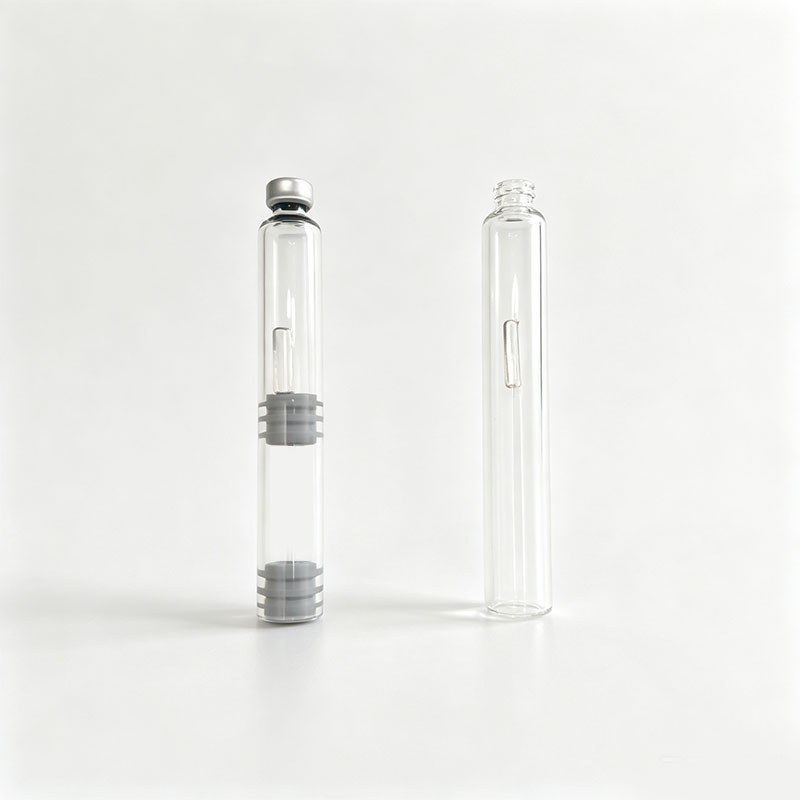 10/20 pcs Dual Chamber Ink Car - Fountain Pen Bottled Ink ulasan dan harga