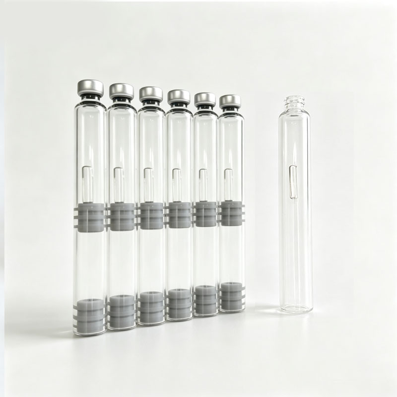 10/20 pcs Dual Chamber Ink Car - Fountain Pen Bottled Ink ulasan dan harga